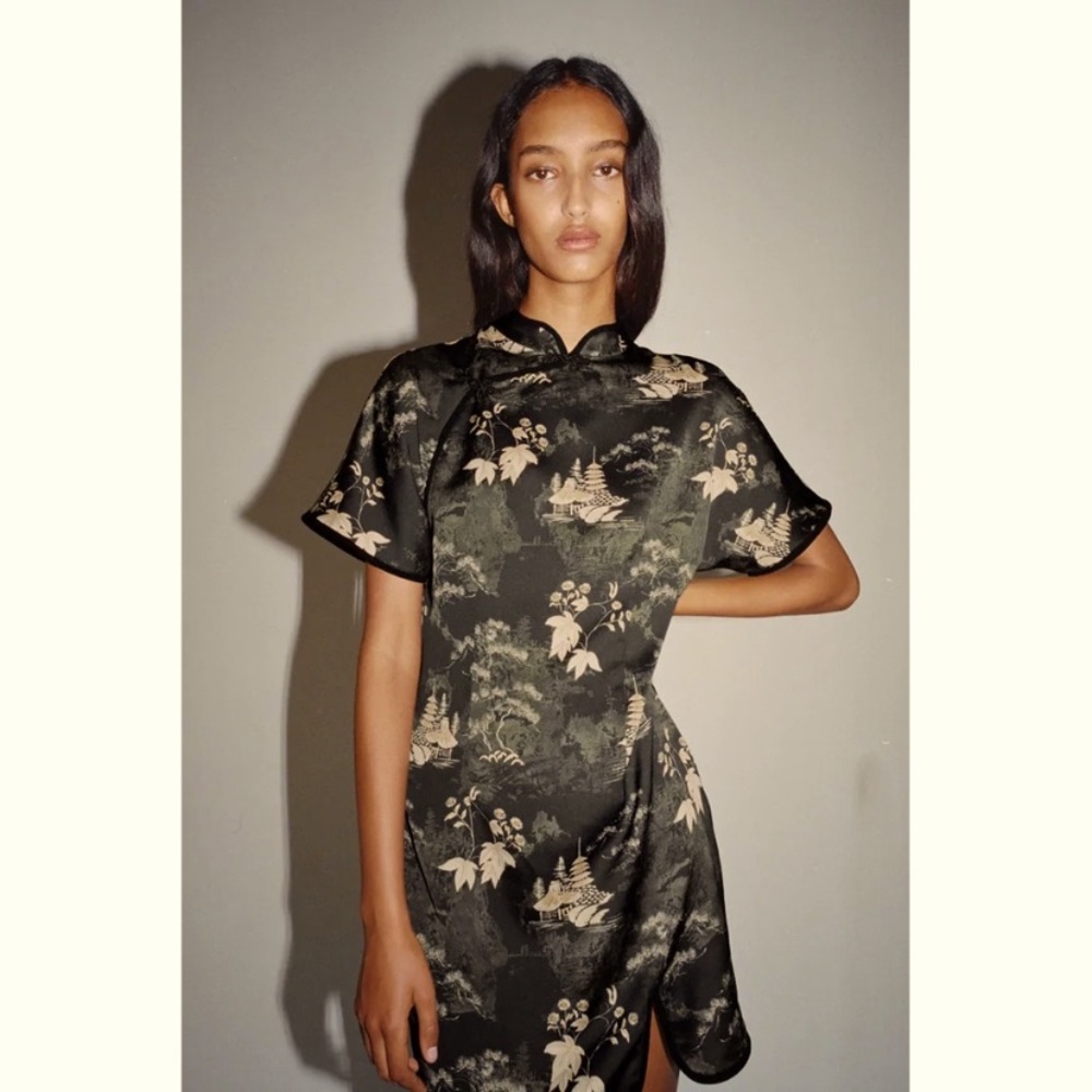 Zara frog button dress